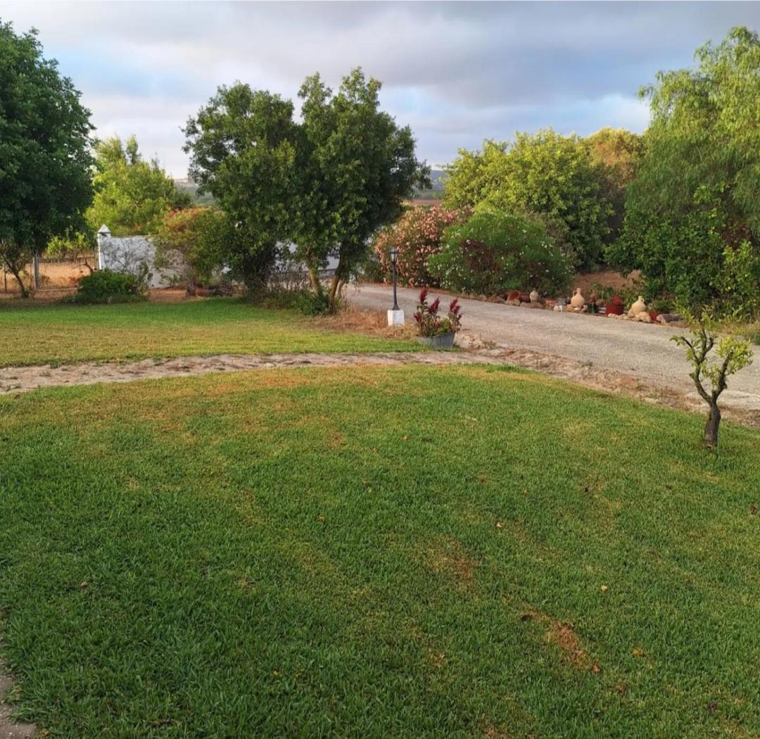 Casa Rural El Nino Santamaria , Con Piscina Y Wifi Vejer de la Frontera Eksteriør billede
